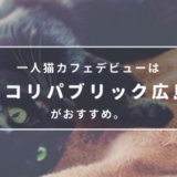 一人猫カフェデビューは「ネコリパブリック広島」がおすすめ。