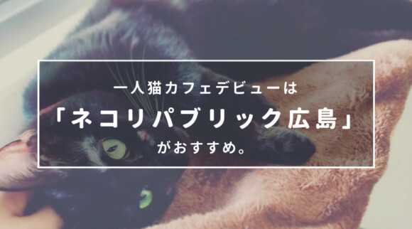 一人猫カフェデビューは ネコリパブリック広島 がおすすめ Su Blog